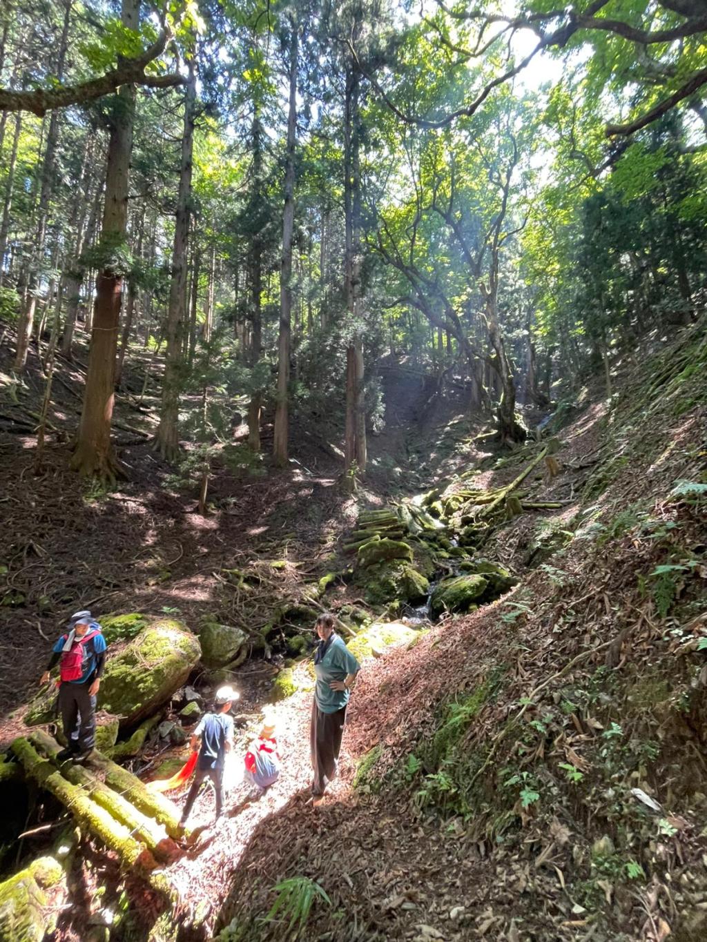 Making things Creatively With our Hands, Reconnecting with the Wider Web of Life, People and the Freedom to&nbsp;Move